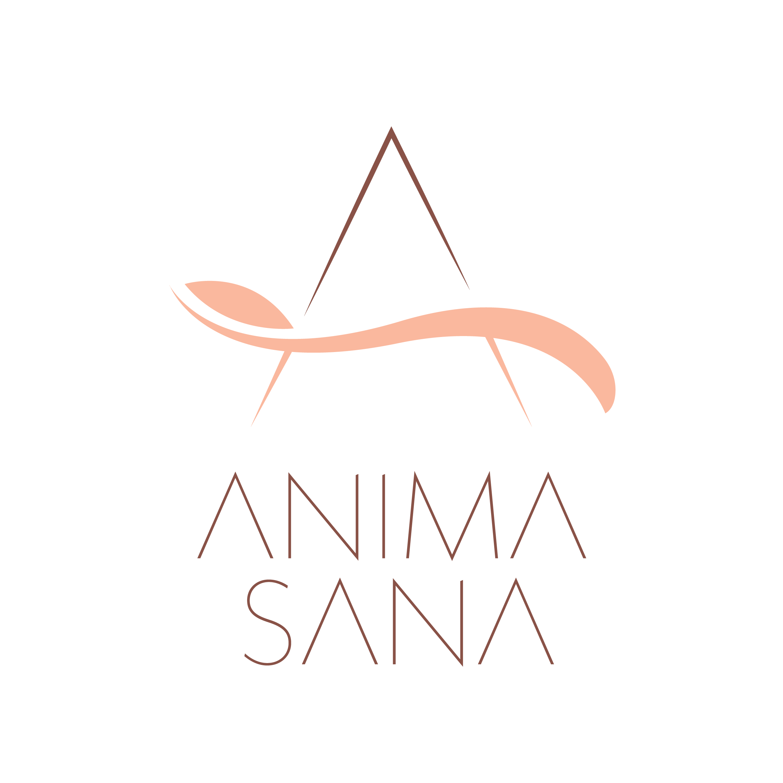 ANIMA SANA